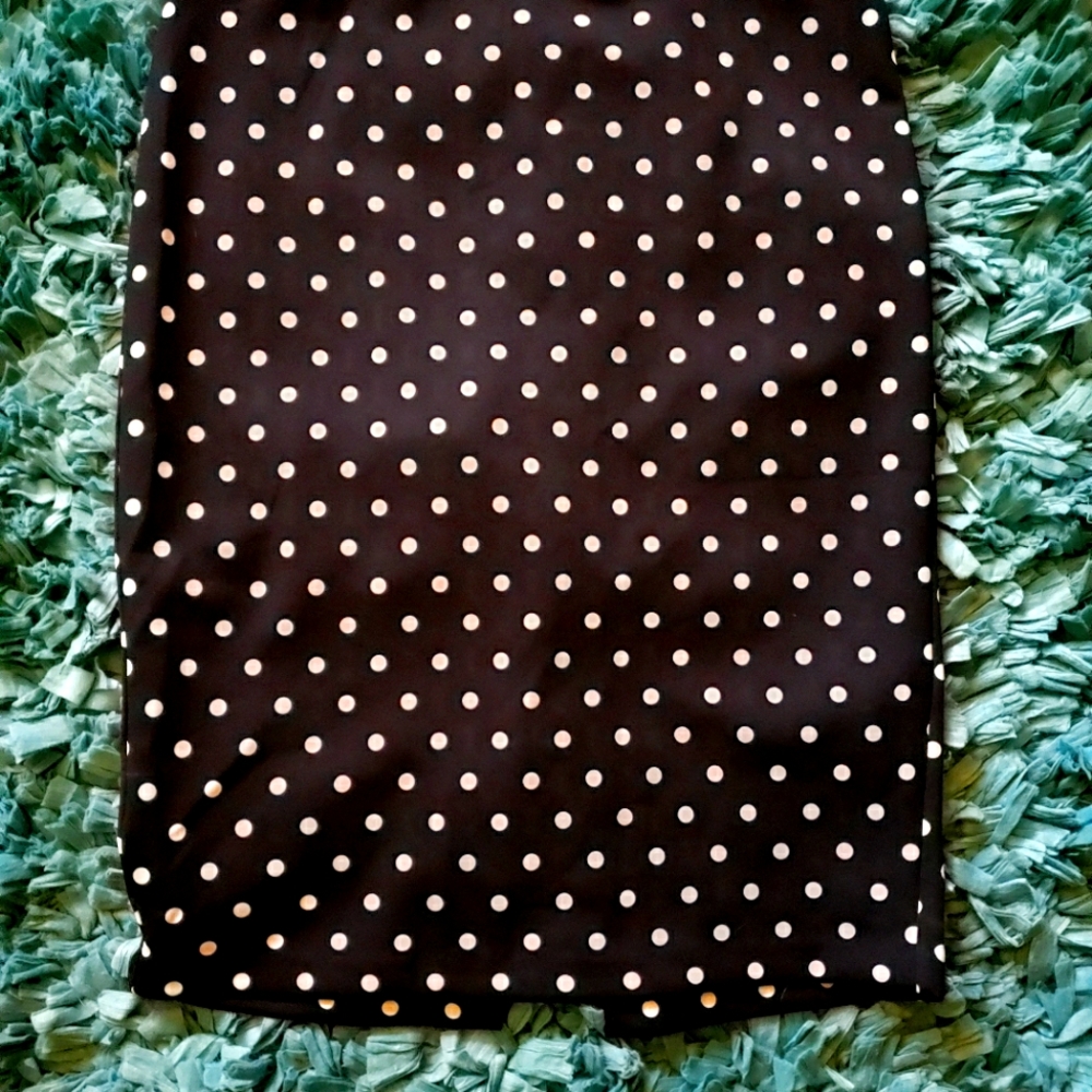 Express Pencil Skirt